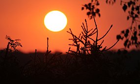 ximg_6749