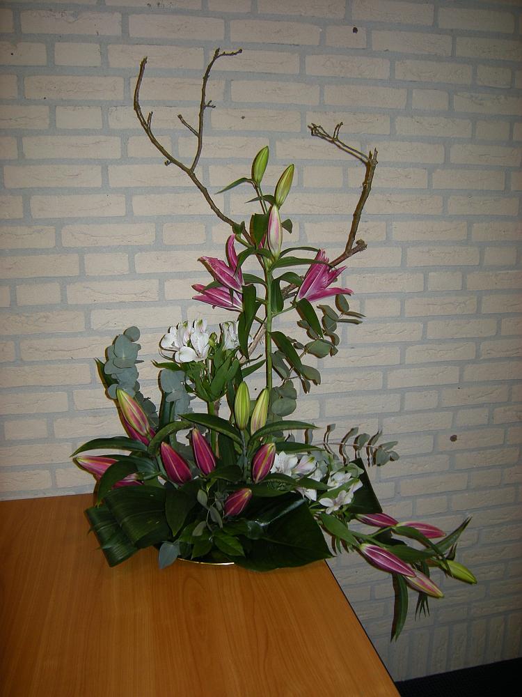 xdscn0867